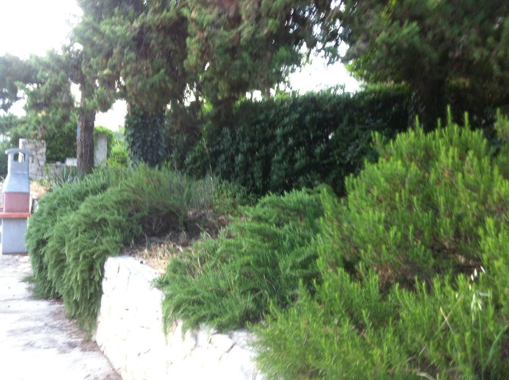 Apartments Casa Nostra Biograd Na Moru Bagian luar foto